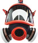 Masque de protection panoramique pour filtre à baïonnette - Climax 18040
